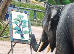 Диво тайського слона